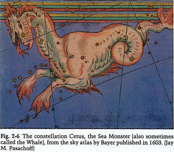 star is located in the upper mandible of cetus