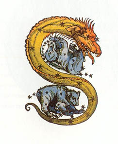 long serpent, with many bends and windings